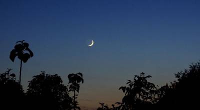 Lua nova em Câncer - Sensibilidade à flor da pele