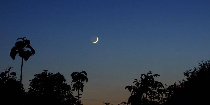 Lua nova em Câncer - Sensibilidade à flor da pele